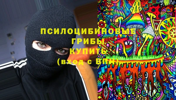 хмурый Богородск