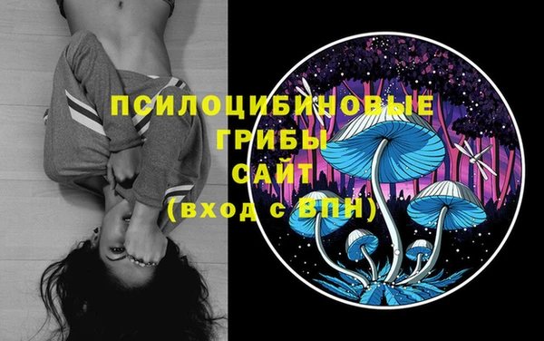 героин Богданович