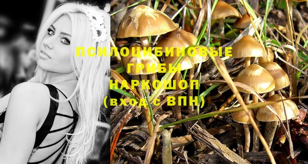 мескалин Богородицк