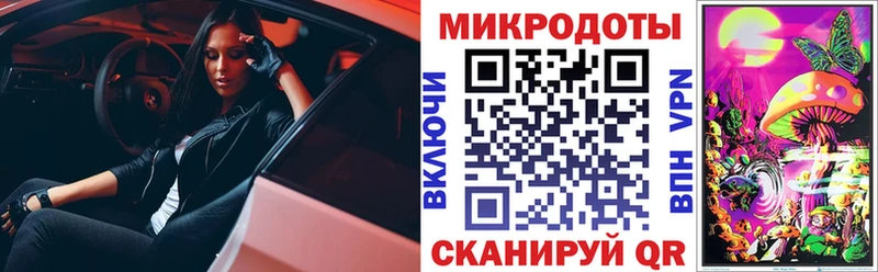 блэк спрут вход  Козьмодемьянск  Псилоцибиновые грибы мухоморы 