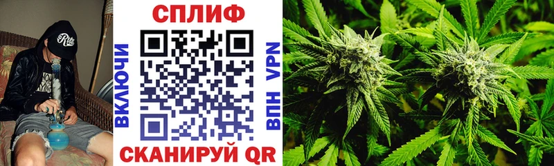 где купить наркоту  Козьмодемьянск  Каннабис план 